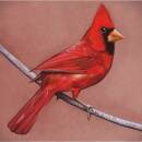 Alexisonfire - Old Crows/Young Cardinals