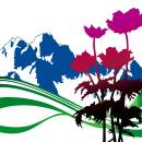 New Order - International