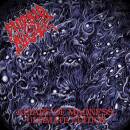 Morbid Angel - Altars Of Madness (Ultimate Edition)
