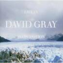 Gray David - LIFE IN SLOW MOTION
