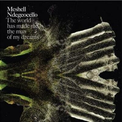 Ndegeocello Meshell - The World Has Made Me The Man Of My Dreams