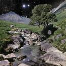 Beta Band, The - THE BETA BAND (Deluxe Edition)