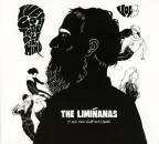 Liminanas, The - I´VE GOT TROUBLE IN MINDE VOL.2