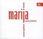 Passos Rosa - Romance