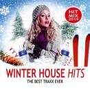 Winter House Hits (Diverse Interpreten)