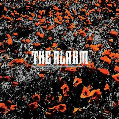 Alarm, The - In The Poppy Fields