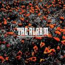 Alarm, The - In The Poppy Fields