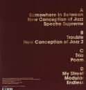 Wesseltoft Bugge - New Conception Of Jazz 20Th Anniversery