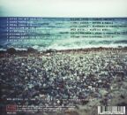Cohen Avishai - After The Big Rain