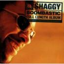 Shaggy - BOOMBASTIC