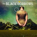 Black Sorrows - Faithful Satellite