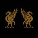 Cape Joey / Snodgrass Jon - Liverbirds