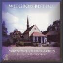 Männerchor Ebersecken - Wie Gros Bist Du