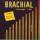 Rontal Gugger - Brachial