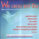 Wie Gross Bist Du (Diverse / )