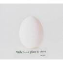 Wilco - A GHOST IS BORN