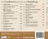 Echo V. Battenberg / Trio Usnahmswys - Echo V. Battenberg / Trio Usnahmswys