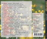 Jodlerchörli Zulgtal - aecht Zulgtal