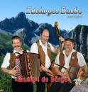 Edelwyss Buebe Diemtigtal - Musig I De Baerge
