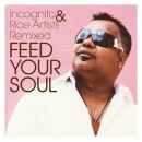 Incognito&rice Artists Remixed - Feed Your Soul