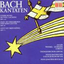 Bach Johann Sebastian - Kantaten Bwv 110 / 40 / 71 (Auger Arleen / Wenkel Ortrun / Schreier Peter / Lorenz Siegfried)