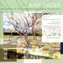 Reger Max - Sinfonietta / An Die Hoffnung (Burmeister A....