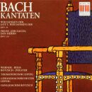 Bach Johann Sebastian - Ratswahlkantaten Bwv 29&119 (Werner / Riess / Rotzsch / Polster / G)
