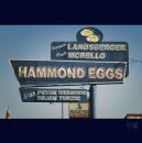 Landsberger Jermaine & Morello Paulo - Hammond Eggs