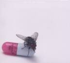 Red Hot Chili Peppers - I´m With You