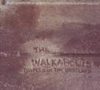 Walkabouts, The - Travels In The Dustland