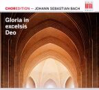 Bach Johann Sebastian - Gloria In Excelsis Deo (Diverse...