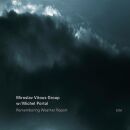Vitous Miroslav - Remembering Weather Report