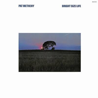 Metheny Pat - BRIGHT SIZE LIFE