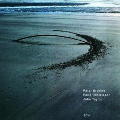 Peter Erskine, Palle Danielsson, John Taylor - You Never Know