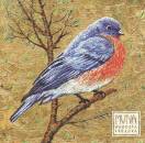 Irglova Marketa - Muna