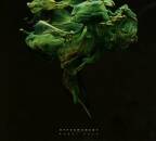 Koch Robot - Hypermoment