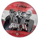 Sum 41 - 13 Voices (LTD. PICTURE DISC VINYL-AUSTRIA)