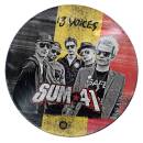 Sum 41 - 13 Voices (LTD. PICTURE DISC VINYL-BELGIUM)