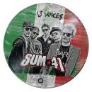 Sum 41 - 13 Voices (LTD. PICTURE DISC VINYL-ITALY)