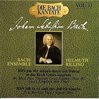 Bach Johann Sebastian - Die Bachkantate Vol.33 (Diverse Interpreten / 146/108)