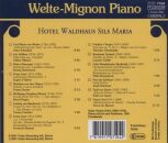 Hotel Waldhaus Sils - Welte-Mignon Piano: Hotel Waldhaus Sils (Hotel Waldhaus Sils)