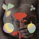 Gundelach - My Frail Body