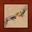 My Ugly Clementine - Vitamin C