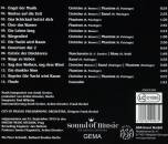 Central Musical Company - Das Phantom Der Oper