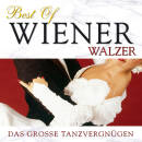 The New 101 Strings Orchestra - Best Of Wiener Walzer (Diverse Komponisten)