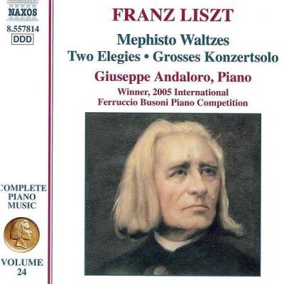Liszt Franz - Klavierwerke (Andaloro Giuseppe / komp23)