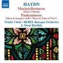 Haydn Joseph - Messen Mariazeller / Paukenmesse (Hoyt Ann...