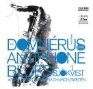 Domerus Arne - Antiphone Blues