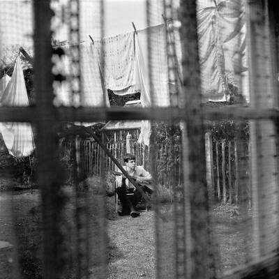 McCartney Paul - Chaos And Creation In The Backyard