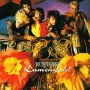 Toten Hosen, Die - Damenwahl